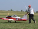 Kittiwake1.jpg