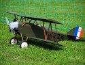 DSC_0013.jpg